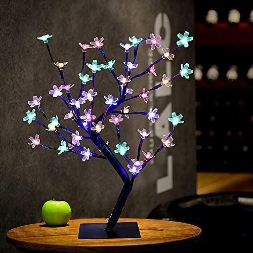 luce artificiale per bonsai