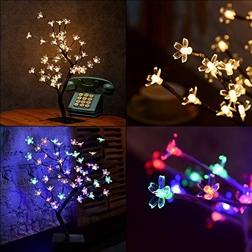 luce artificiale per bonsai